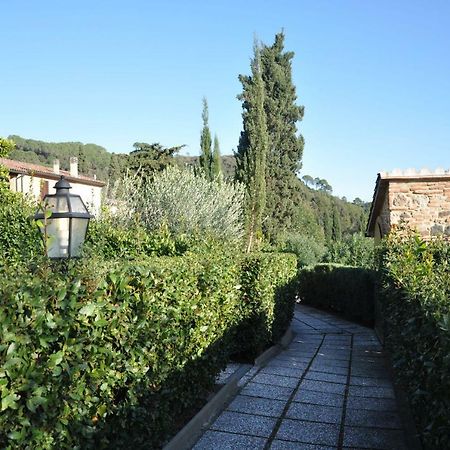 Monolocale Con Piscina S.Martino Appartement Riparbella Buitenkant foto